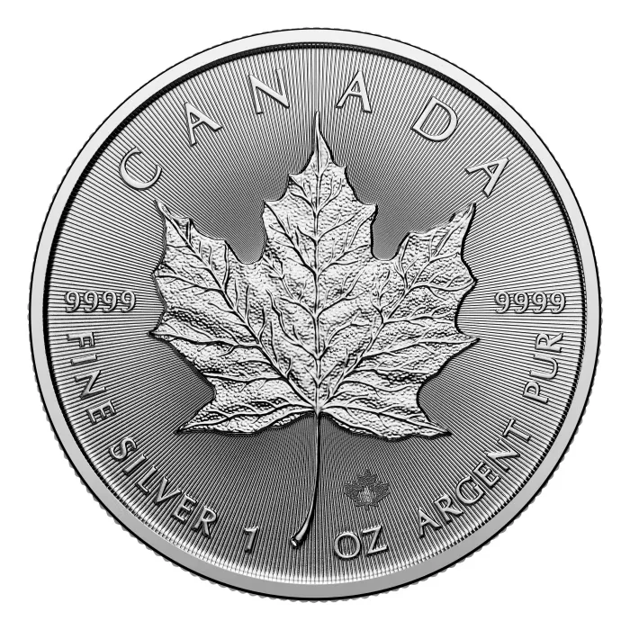 1 oz Silver Maple Leaf Random Year ( 加拿大楓葉銀幣 1盎司隨機年份)